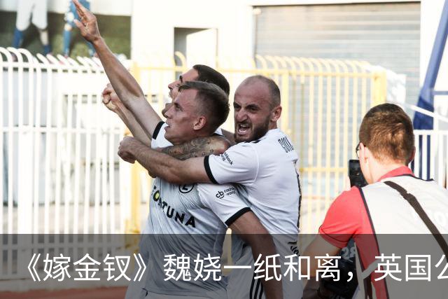 《嫁金钗》魏娆一纸和离，英国公府炸了锅！才懂贺婉娘为何拼死拦