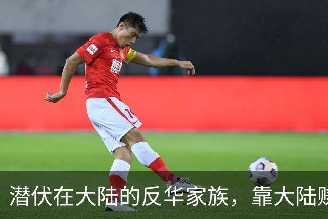 潜伏在大陆的反华家族，靠大陆赚了上亿，国家制裁后如今怎样了？